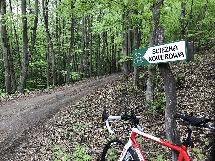 ścieżka rowerowa