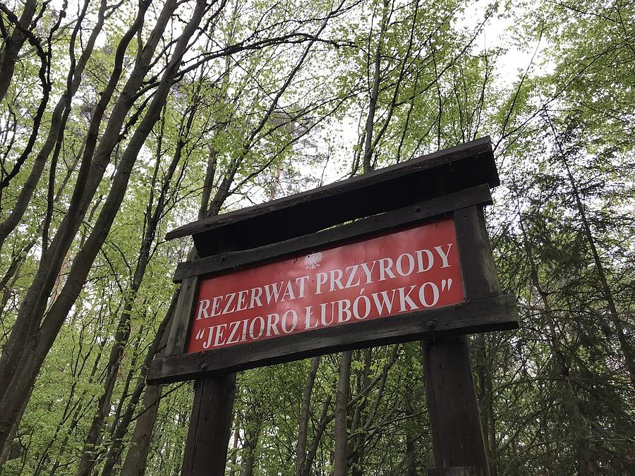 na terenie rezerwatu