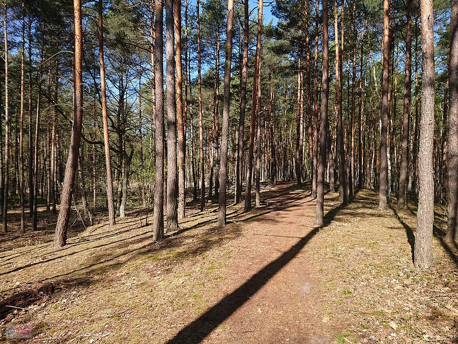 Kampinos
