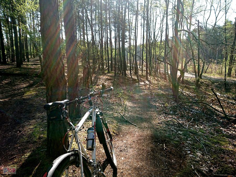 Kampinos