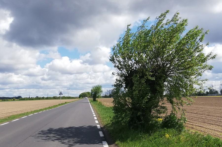 Wiało, wiało, wiało...