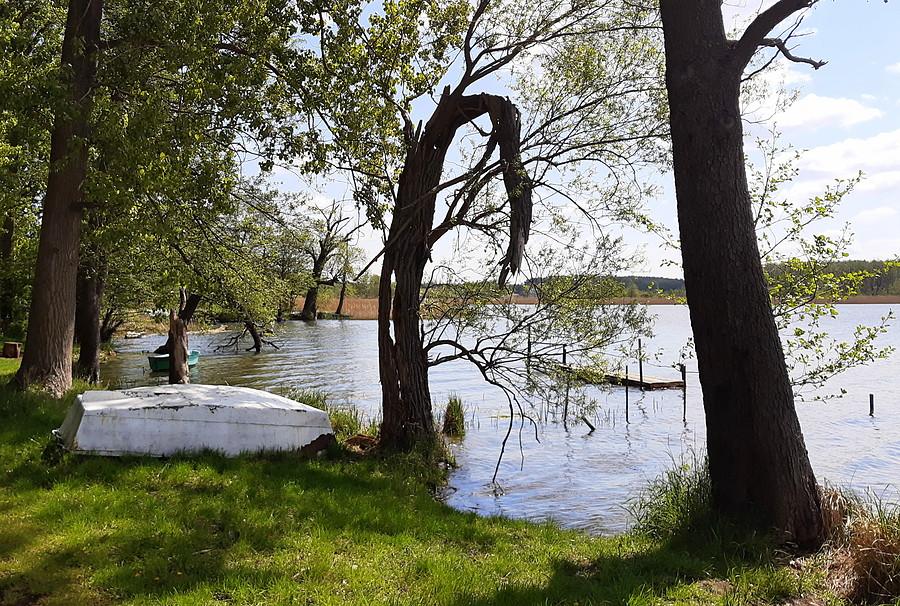 Pochylona perspektywa - Jezioro Lusowskie