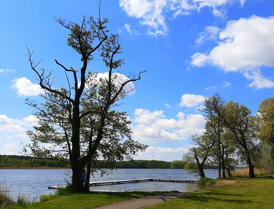 Panorama - Jezioro Lusowskie