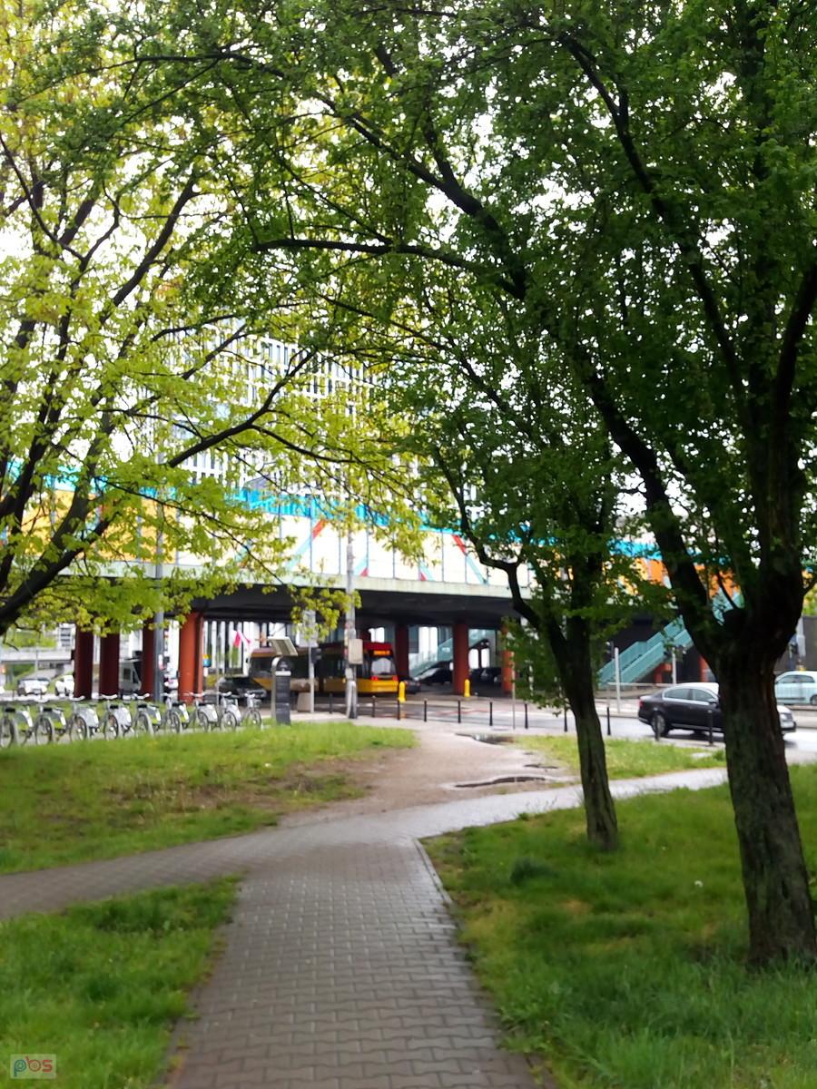 Widok spod daszku