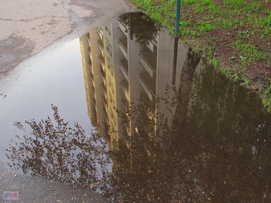 Kałużowi blokersi