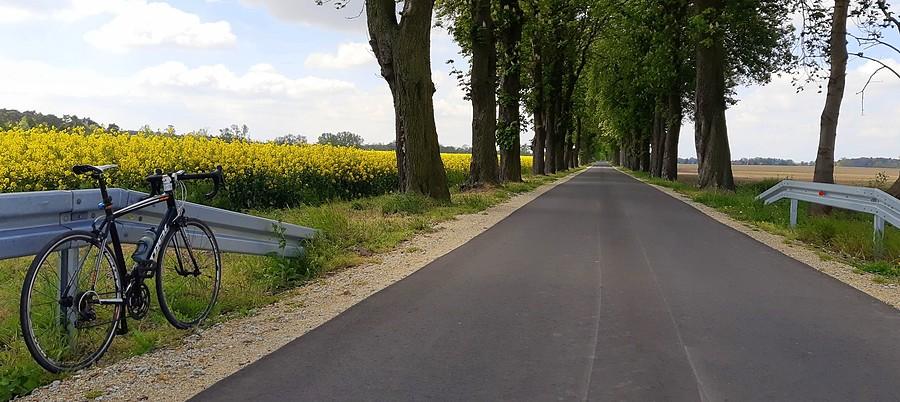 Nowy asfalt na drodze do Zborowa