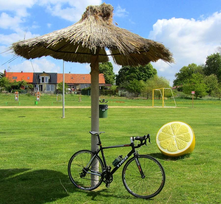 Cytrynka :) - Jezioro Niepruszewskie, Zborowo