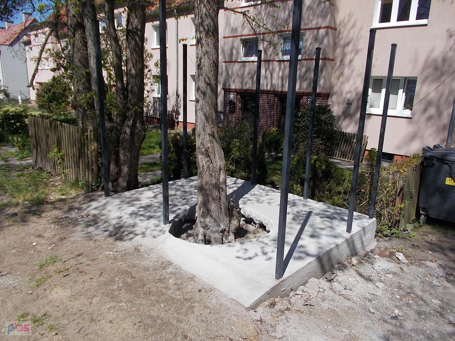 Od niedawna kultowe elbląskie miejsce pod śmietniki