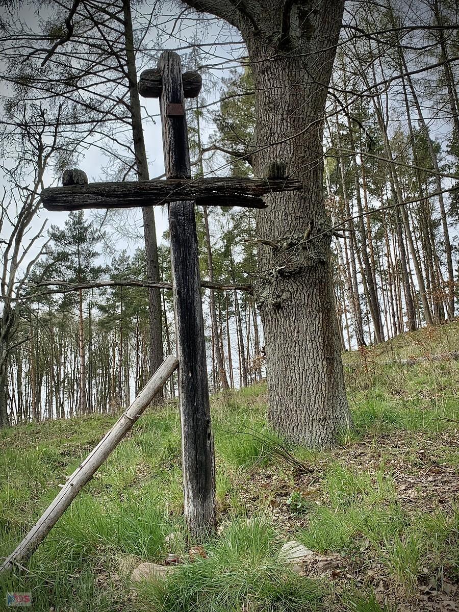 Krzyż w lasach Lubiszewskich