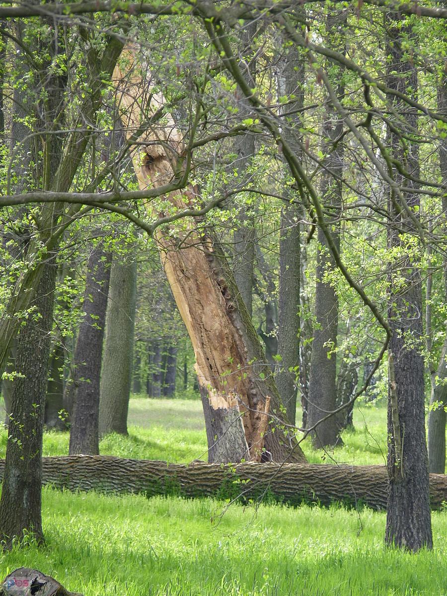 prawie się obalił