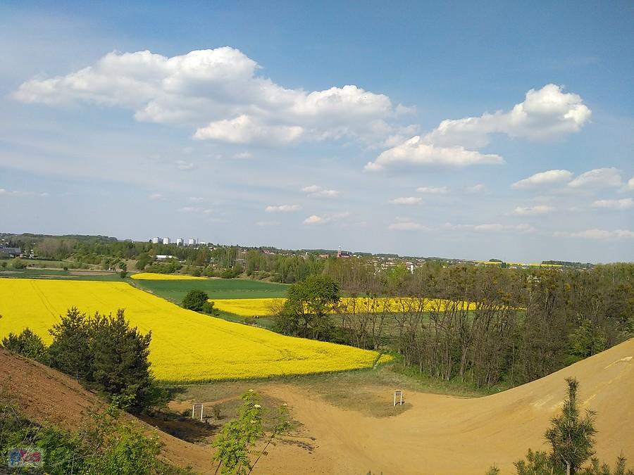 żółto, że aż w oczy kole