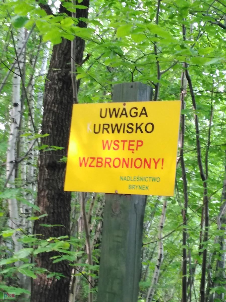 no przecież nie skoczę