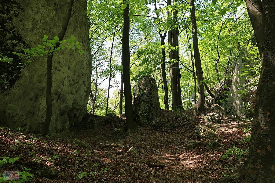 Skały na Grodzisku