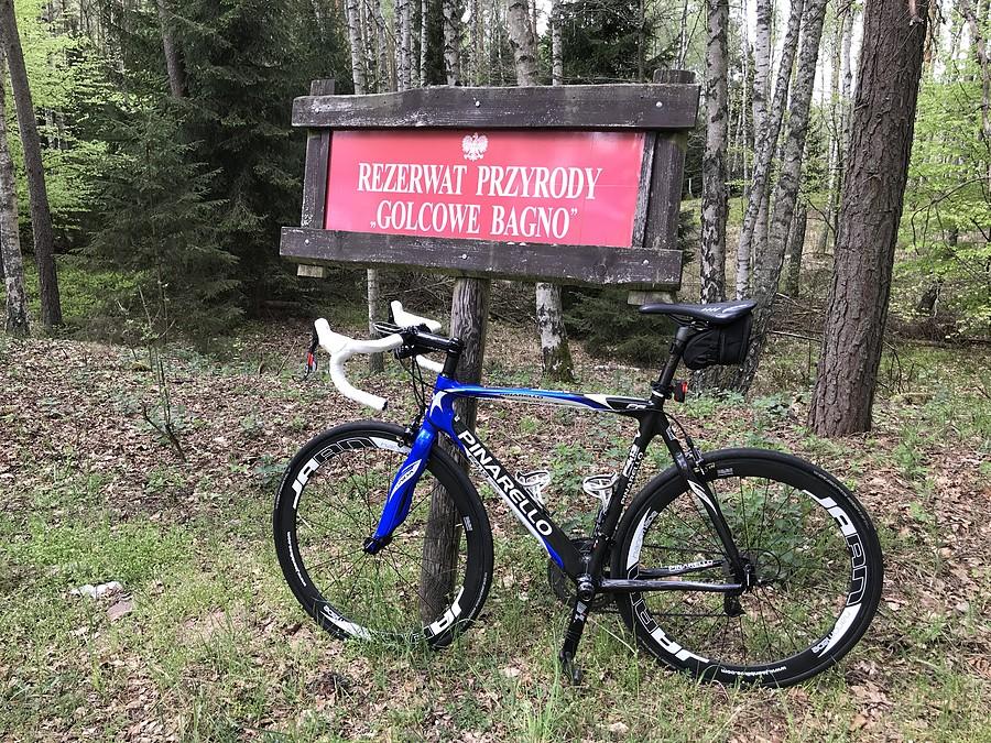 Rezerwat Przyrody "Golcowe Bagno"