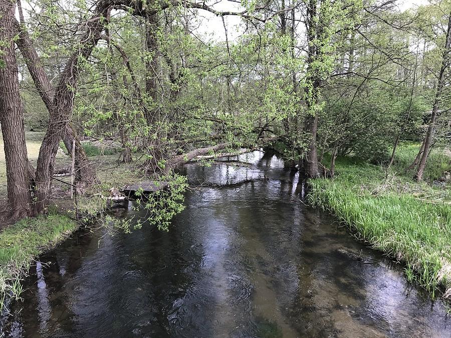 Piława w Szwecji