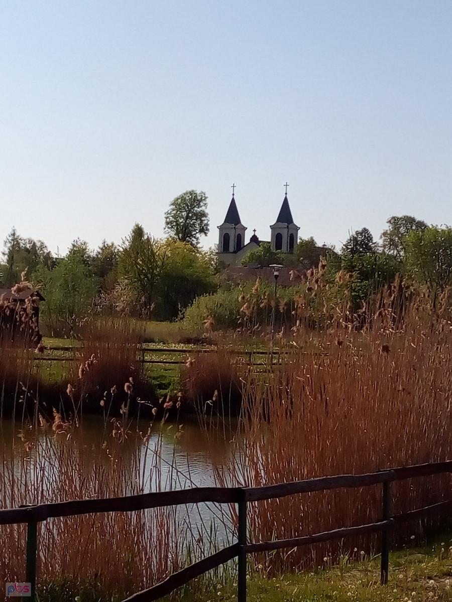 Staw w Borzęcinie