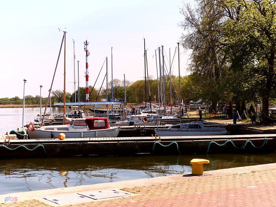 Na brzegu zatoki w Nowym Warpnie.