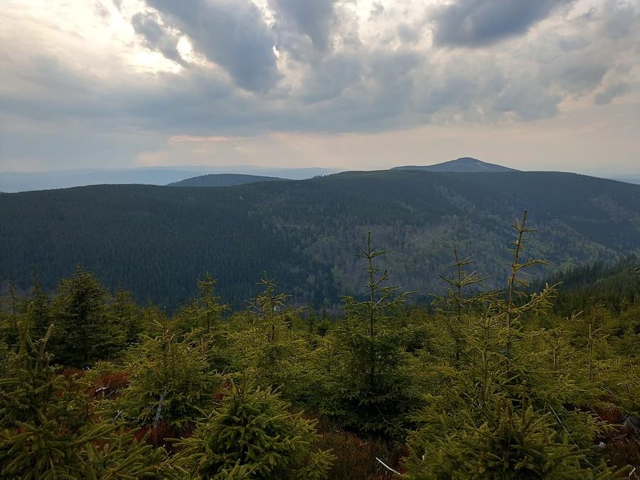 Widoczek