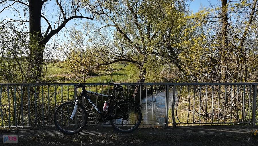 Bikefoto nad Strzegomką