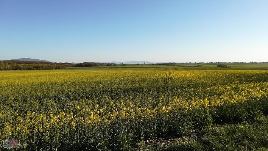 Panorama gór za Piotrowicami