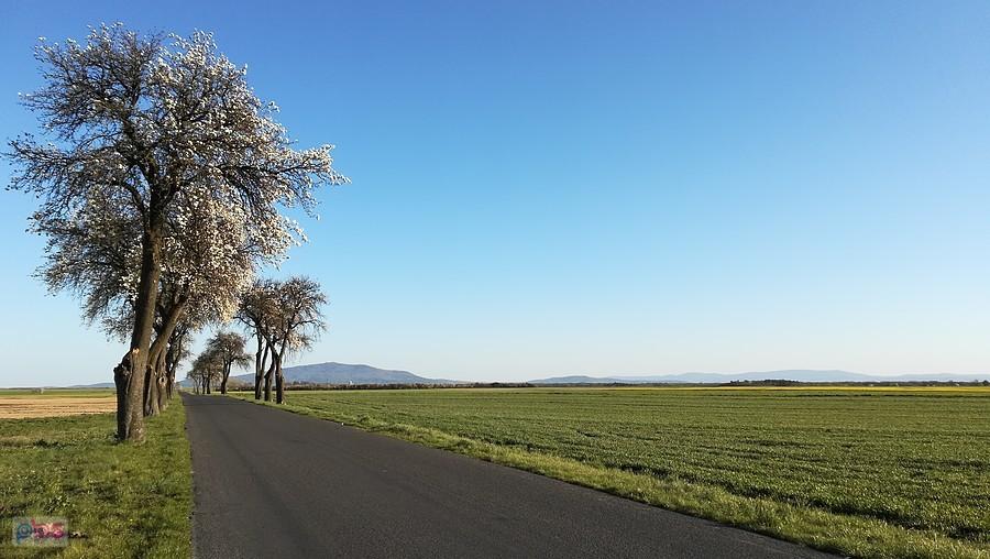 Panorama gór z szosy w kierunku Wawrzeńczyc