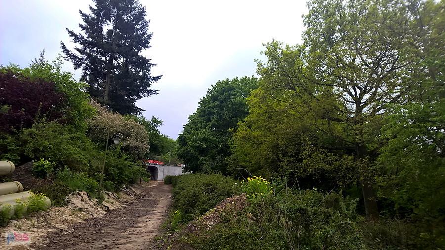 Widok wiaduktu z drugiej strony, mało dostępnej.