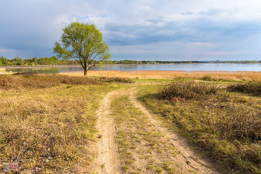 Nad brzegiem w miejscowości Masłońskie - widok na zbiornik "Poraj".