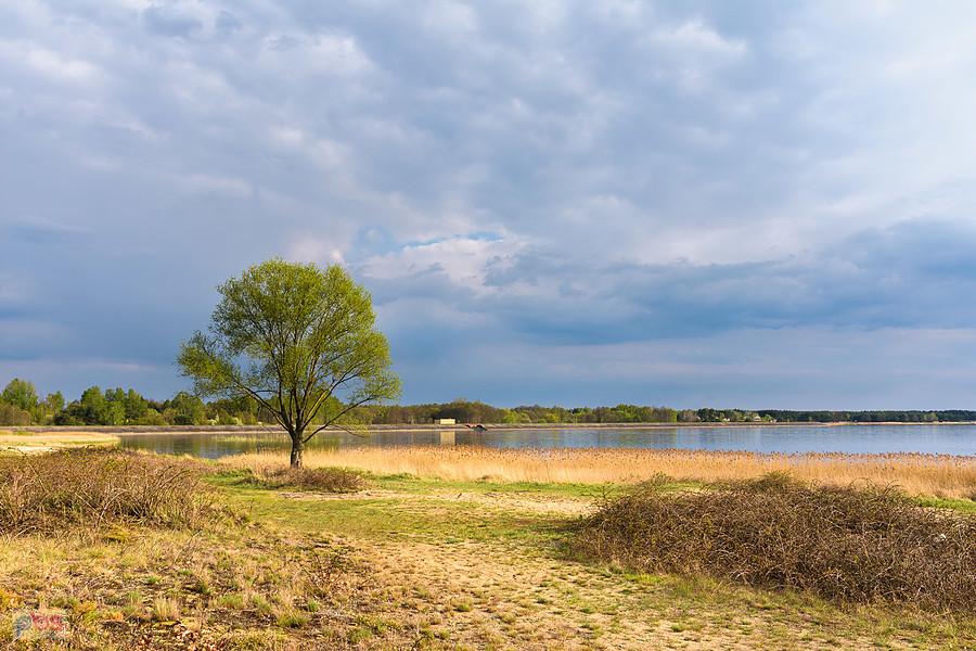 Nad brzegiem w miejscowości Masłońskie - widok na zbiornik "Poraj".