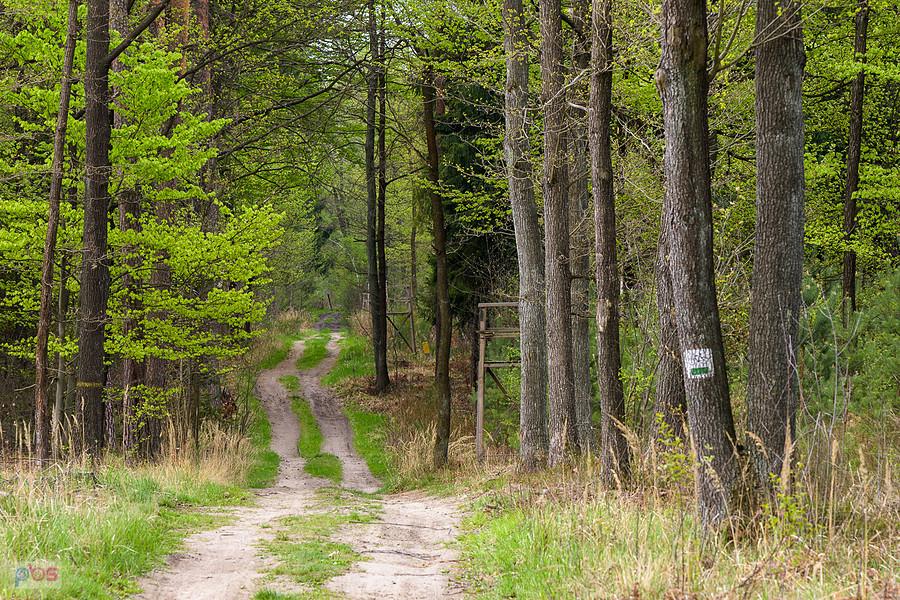 Prostopadła droga do pokazanej wcześniej z Blachowni do Herbów - prowadzi w kierunku Aleksandrii i dzielnicy wsi Kurwinów