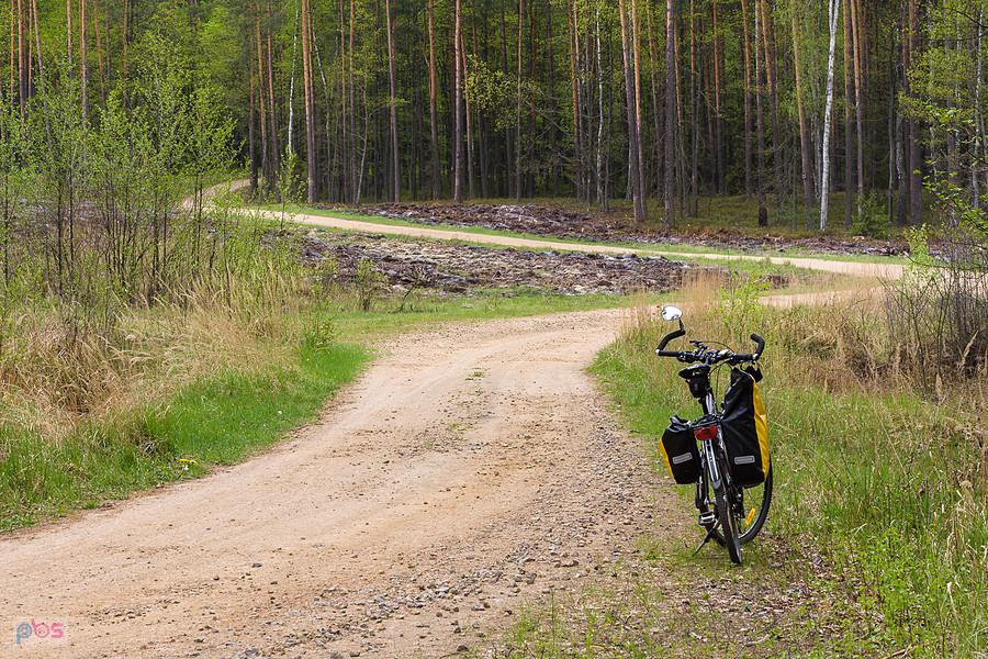 Droga w pobliżu osady Pod Jamą -Pietrzaki
