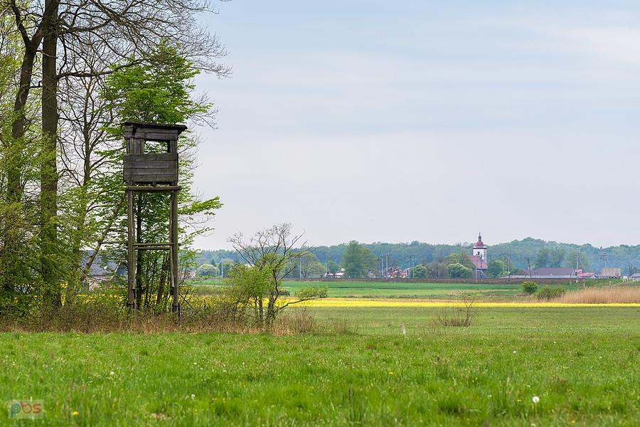 Bizja - część wsi Kochanowice i widok w kierunku centrum. W oddali parafia Świętego Wawrzyńca.