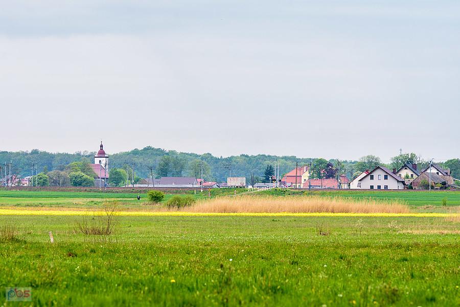 Bizja - część wsi Kochanowice i widok w kierunku centrum. Po lewej wieża parafii Świętego Wawrzyńca.