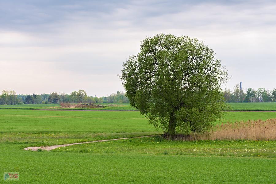 Tuż za Jawornicą - Podlesie będące częścią wsi Sadów.