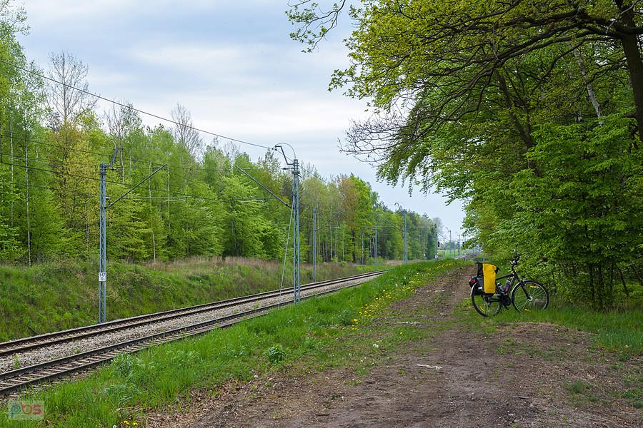 Postój w Kochanowicach przy szlaku linii D29-61 (od strony podg. Jawornica).