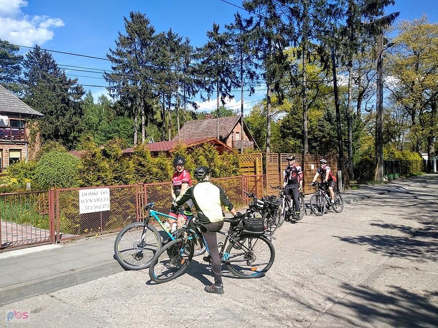 Wyspa Sobieszewska – grupa rowerzystów na drodze
