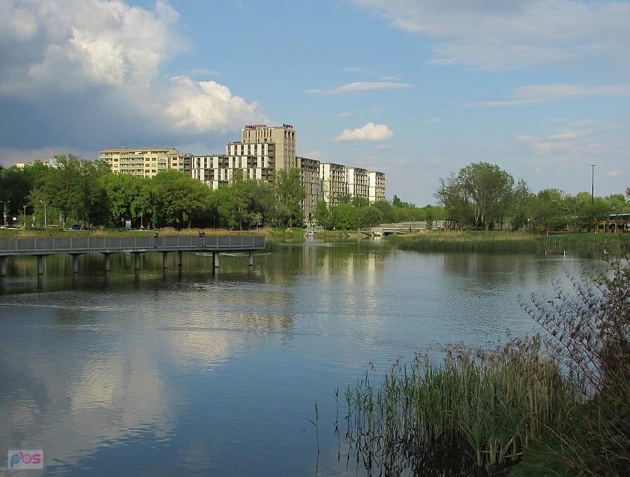 Staw Służewiecki