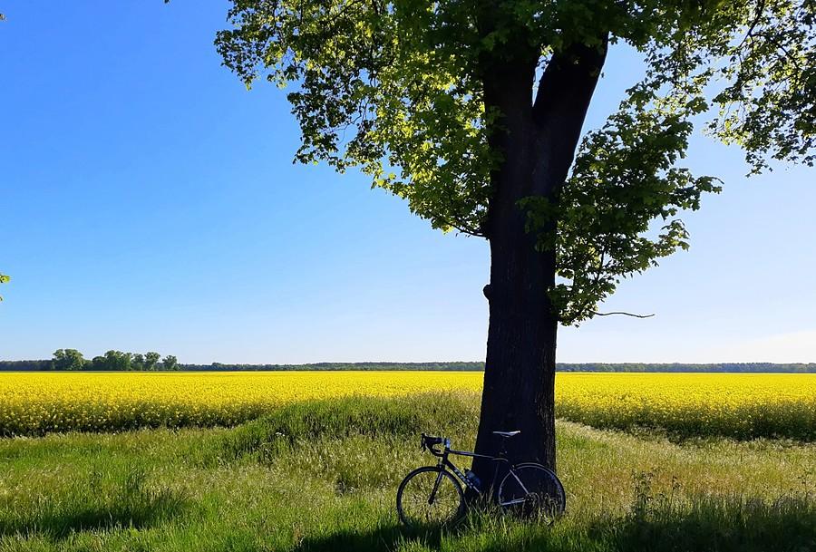 Blue-yellow-green