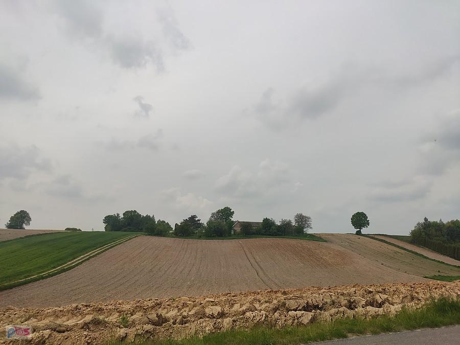 Pola, wszędzie pola