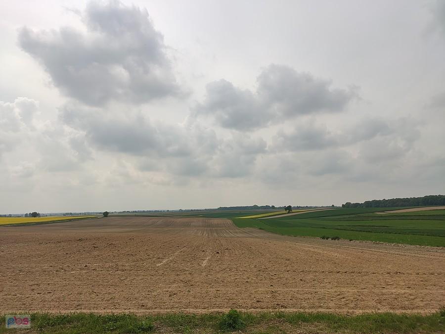 Pól ciąg dalszy. Typowy krajobraz lubelszczyzny