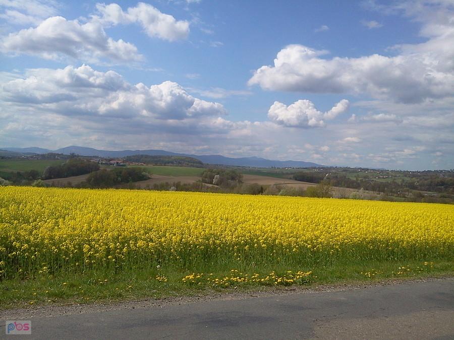 Widok z Iskrzyczyna