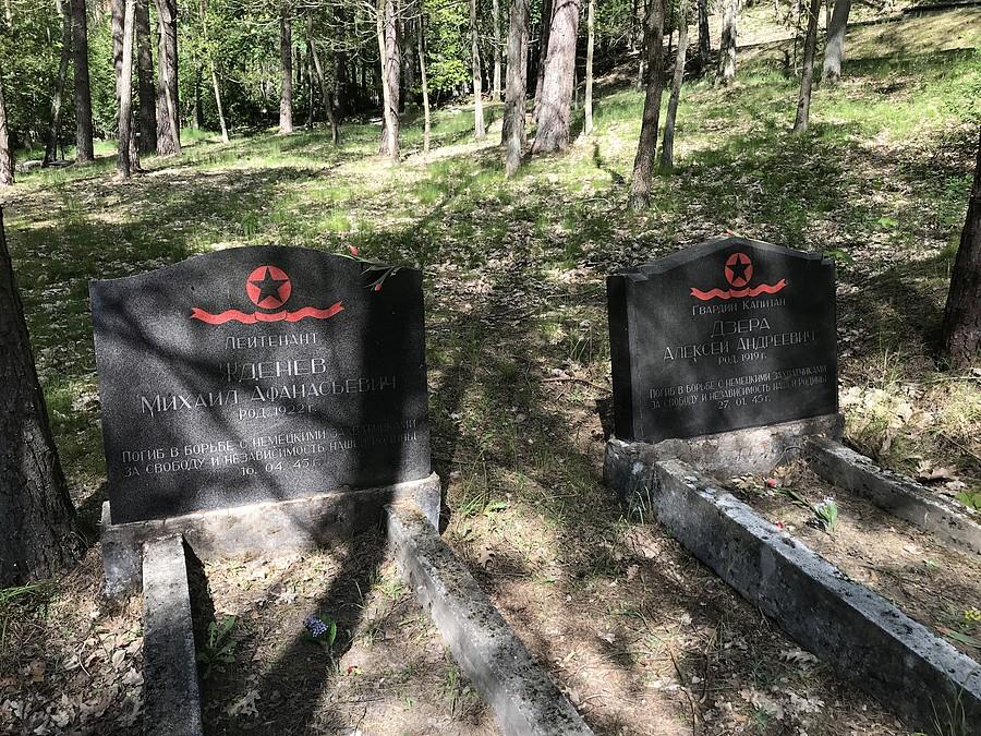 mogiły na terenie cmentarza