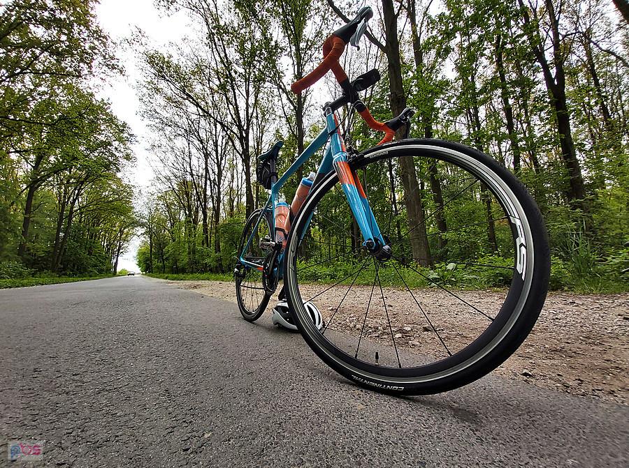 Giant Contend SL 2