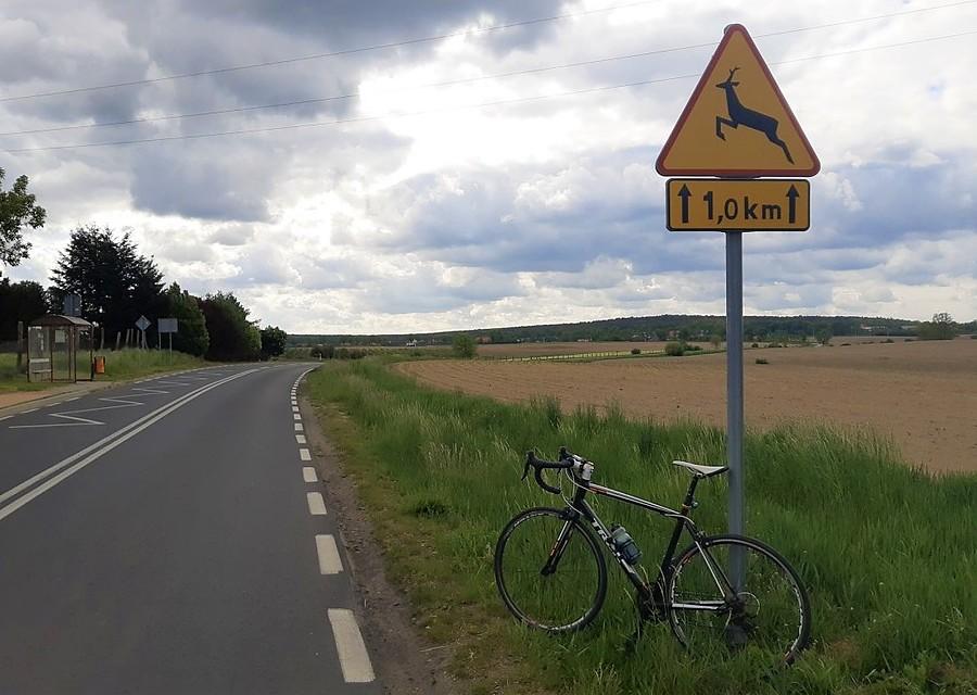 Rosnówko, klasyczny widok na WPN