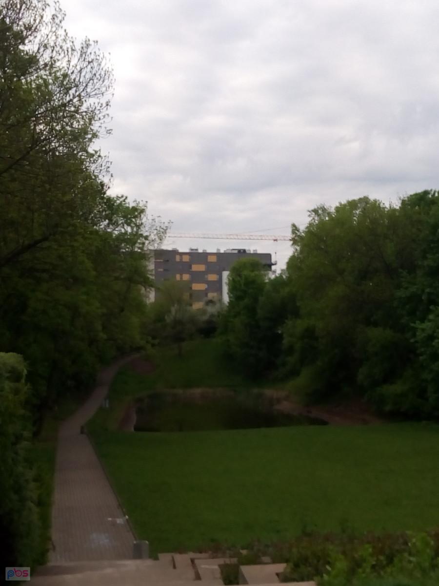 Tam w dole jest malutki staw