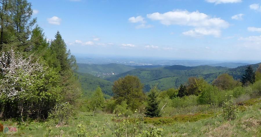 Ślicznie