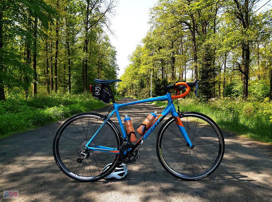 Giant Contend SL 2