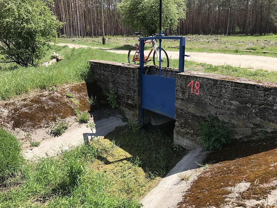 wyschnięta Ryga