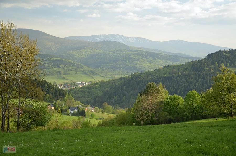 Dolina Skawicy