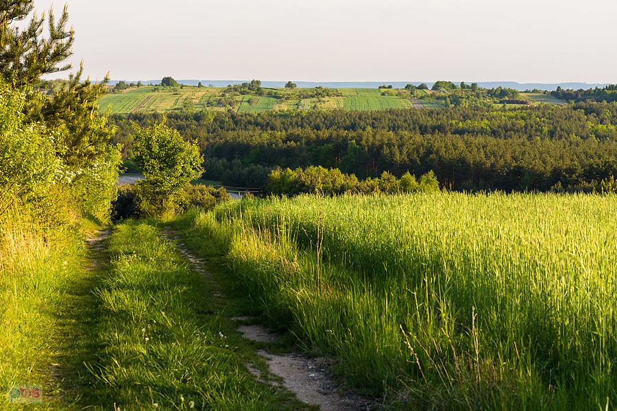 Widok z Biskupic w kierunku Choronia