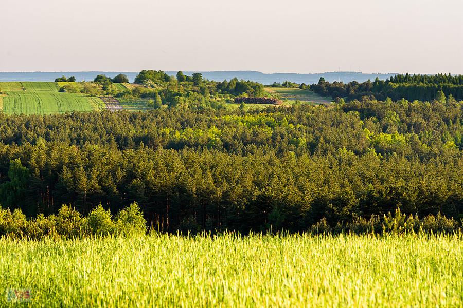 Bliższe ujęcie ze wzniesienia w Biskupicach - na przeciwko wzniesienie w Choroniu